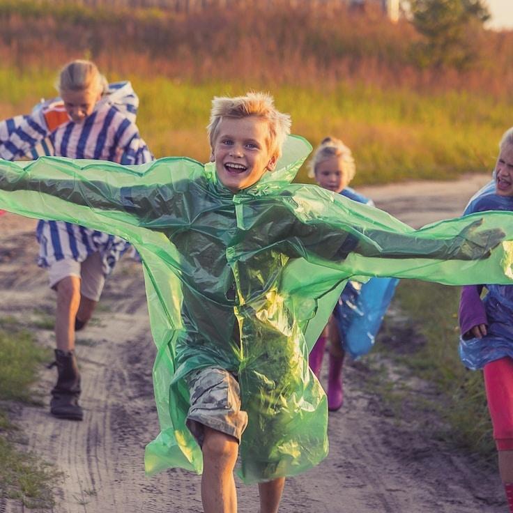Landscape day trip near Amsterdam, Netherlands